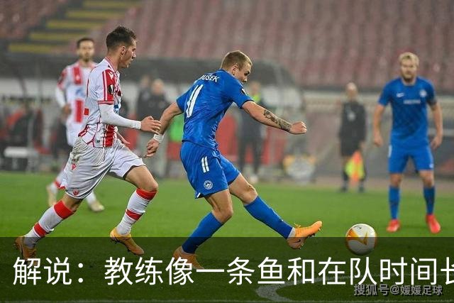 解说：教练像一条鱼&在队时间长了就会发臭 杜锋话语出现效应递减